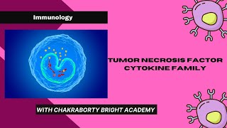 Tumor Necrosis Factor Cytokine Family [upl. by Zelikow]