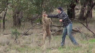 The Heartbreaking Reason Why The Man Who Punched A Kangaroo Was In The Outback [upl. by Adnarim]