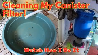 How I Clean My Canister Filter for a 25 Feet Tank to Keep Water Clear [upl. by Ecargyram583]