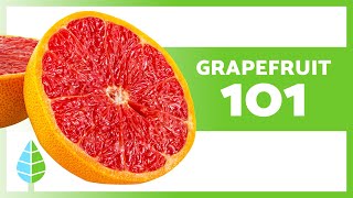 BENEFITS of GRAPEFRUIT 🍊✅  Learn About Properties How to Eat amp Contraindications [upl. by Engeddi159]