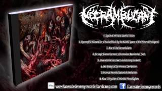 Necrambulant  Infernal Infectious Necro​  ​Ambulatory Pandemic FULL ALBUMHD [upl. by Nahama]