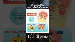 ชื่อของ Amygdala มาจากชื่อต่อมในสมอง bloodborne games เกมกับshorts [upl. by Karen]