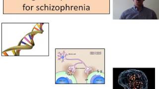 Schizophrenia Biological explanations [upl. by Mirak]