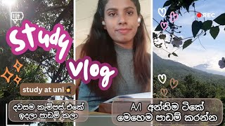 Study vlog📚Al time table ලැබුනාම පාඩම් කරන්න දවස් බෙදාගන්නේ කොහොමද🌈️study at university📚🎓viral [upl. by Pentheas]