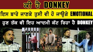 Aja Mexico Chaleye  Ammy Virk  Full Interview  ਕੀ ਹੈ Donkey [upl. by Troyes864]