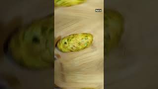 Muthiya RecipeGujarati RecipeLauki Ka Muthiya Recipe food cooking ytshorts shorts trending [upl. by Kcirttap]