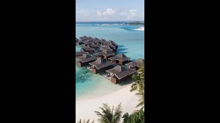 Honeymooner und Paare aufgepasst  Anantara Veli Maldives Resort [upl. by Hadwyn]