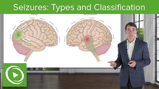 Seizures Types and Classification  Clinical Neurology [upl. by Aneelas91]