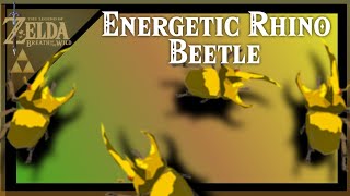 Energetic Beetle Farming Locations  The Legend of Zelda Breath of the Wild [upl. by Erodroeht]