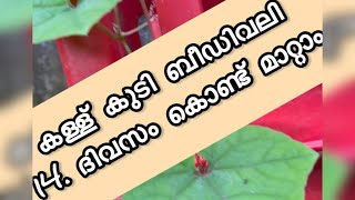 14 ദിവസം കൊണ്ട് കള്ള് കുടിയും ബീഡി വലിയും നിർത്താം [upl. by Anthiathia]