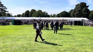 European Pipe Band Championships 2024  Grade 2 Medley  Portlethen and District [upl. by Arretal871]