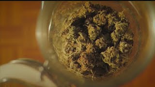 Struthers to limit the amount of marijuana sellers [upl. by Dorthea]