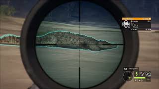 Decimating a PIEBALD Crocodile on Emerald Coast [upl. by Eceerahs285]