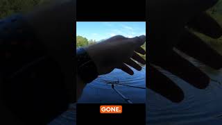 Clear water  Dark Fish fishing feederfishing fishbait [upl. by Andra]