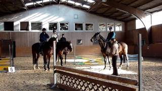 Reitabzeichen Reiterhof Konle  TRAININGSVIDEOS  5 [upl. by Vallo963]