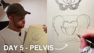 Art Fundamentals Day 5  Pelvis [upl. by Alister]