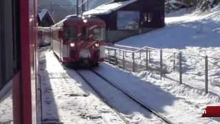 Swiss Narrow Gauge Trains Part 1 [upl. by Grunenwald]