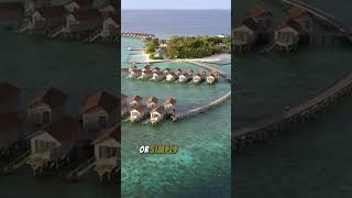 The Maldives A Tropical Dream travel travelshorts [upl. by Rairb]