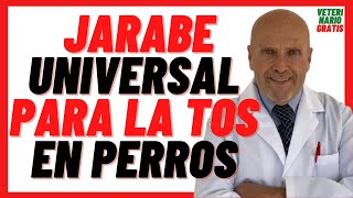 🔴 JARABE UNIVERSAL Ambroxol para la TOS o RESFRIADO en PERROS Mayores 🔴 Cómo curar Tratamiento [upl. by Rosmunda]