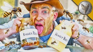 Is KILLER BEE Honey Dangerous [upl. by Cort]