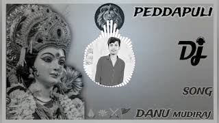 Peddapuli Dj song Mix By Dj Danu mudhiraj [upl. by Nywnorb260]