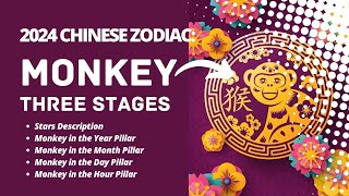 2024 CHINESE ZODIAC  MONKEY SUB [upl. by Ahsenroc669]