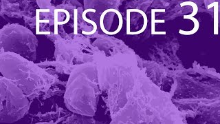 Episode 31  Archaea amp Bacteria [upl. by Reuven412]