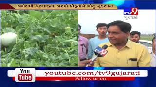 Banaskantha Watermelon amp sugar melon crop destroyed due to hailstorms unseasonal rain [upl. by Yablon5]