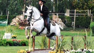 Working Equitation a Fun Way to Train Seriously  Pedro Neves clinic [upl. by Soiritos784]