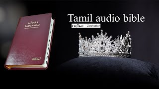 Tamil audio Bible சகரியா Zechariah [upl. by Longwood188]