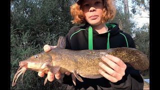 Wimmera river Catfish fishing  Tips tricks and plenty of fish [upl. by Amikat361]