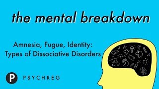 Amnesia Fugue Identity  Types of Dissociative Disorders [upl. by Ahtinak479]