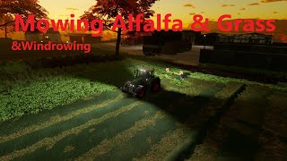 Mowing Alfalfa and Grass amp Windrowing l Organic Farm at Bally Spring l Ep22 [upl. by Haskel]