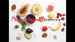 Phytochemical Screening [upl. by Ysnat]