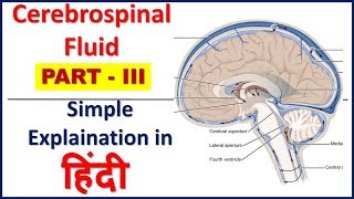 Cerebrospinal fluid Composition function production amp circulationPART IIIin HindiBhushan Science [upl. by Meek937]