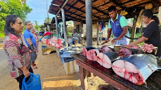 Wow Biggest Village FishMarket Excellent Fish Cutting in Island Of Sri Lanka [upl. by Moran]