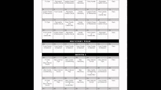 CALENDARIO DE ENTRENAMIENTO INSANITY [upl. by Nilkcaj]