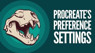 The Guide to Procreates Preference Settings [upl. by Bruckner]