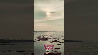 Mumbai Sealink vibe mumbaikar mumbai dadar mumbaisealink nature sealink beachvibes [upl. by Htenywg]