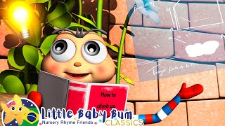 A Dona Aranha  canções infantis  LittleBabyBum [upl. by Warfold]