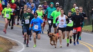 Dog Accidently Joins Half Marathon Finishes Race In 7th Place [upl. by Haywood]