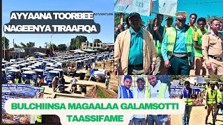 Ayyaana Toorbee Nageenya Tiraafiqa Bulchiinsa Magaalaa Galamsotti Taassifame🙏🏻🙏🏻 [upl. by Ailecara]