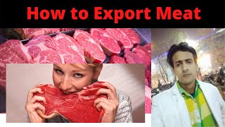 How to Export Meat from India Fully Explained with FREE Foreign BuyersImporters Data in Hindi [upl. by Yrret748]