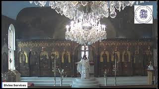 Saturday of Lazarus at St George amp St Demetrios Church [upl. by Lavinia]