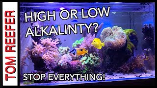 Reef Tank  HIGH OR LOW ALKALINITY  Stop Everything [upl. by Reiter539]