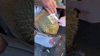 Amazing Giant Durian Fruit Cutting Skills [upl. by Chamberlain476]