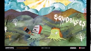 The Okaleechee Dam Jam  David Allan Coe Squidbillies [upl. by Rammaj481]