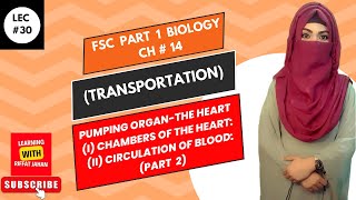 Ch14 Lec 30  PUMPING ORGANTHE HEART Part 2 Chambers of the Heart Circulation of Blood [upl. by Chalmers]