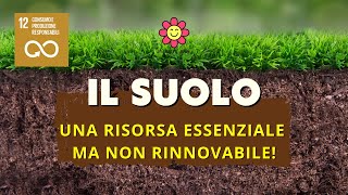 🌍 LIMPORTANZA DEL SUOLO  Una risorsa essenziale ma molto fragile e non rinnovabile [upl. by Whitman]