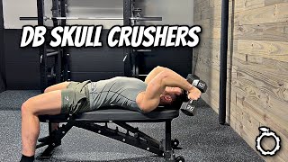 Dumbbell Skull Crushers  Flat Bench [upl. by Rihat]